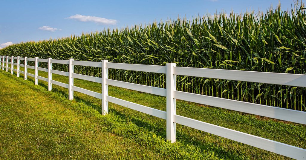 farm fence